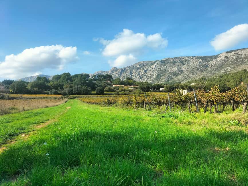 imagem n.38 de A riqueza da Provença num só dia - viagem privada personalizável atividade em Les Baux-de-Provence, carregada pelo fornecedor