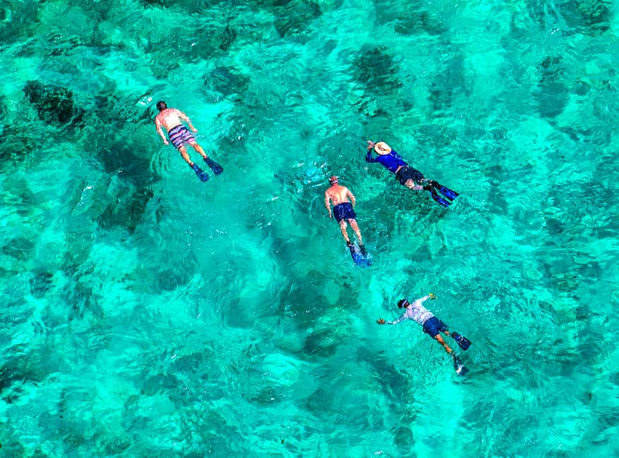 bild nr.1 av Florida Keys: Heldagsäventyr med kajak och snorkling vid korallrev aktivitet i Florida, uppladdad av arrangören