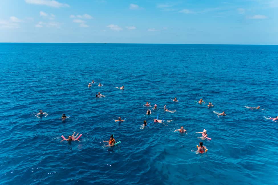 Image N°27 de Ibiza : Croisière VIP d'une demi-journée sur les plages secrètes de Formentera activité à Îles Baléares, publiée par le prestataire
