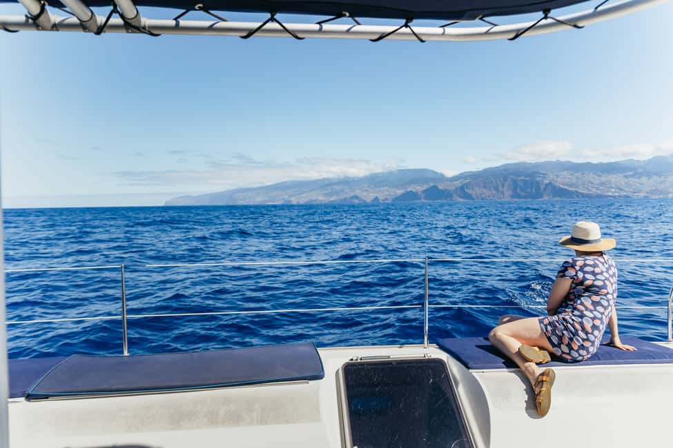 imagem n.16 de Funchal: Cruzeiro de observação de baleias e golfinhos em catamarã atividade em Câmara de Lobos, carregada pelo fornecedor
