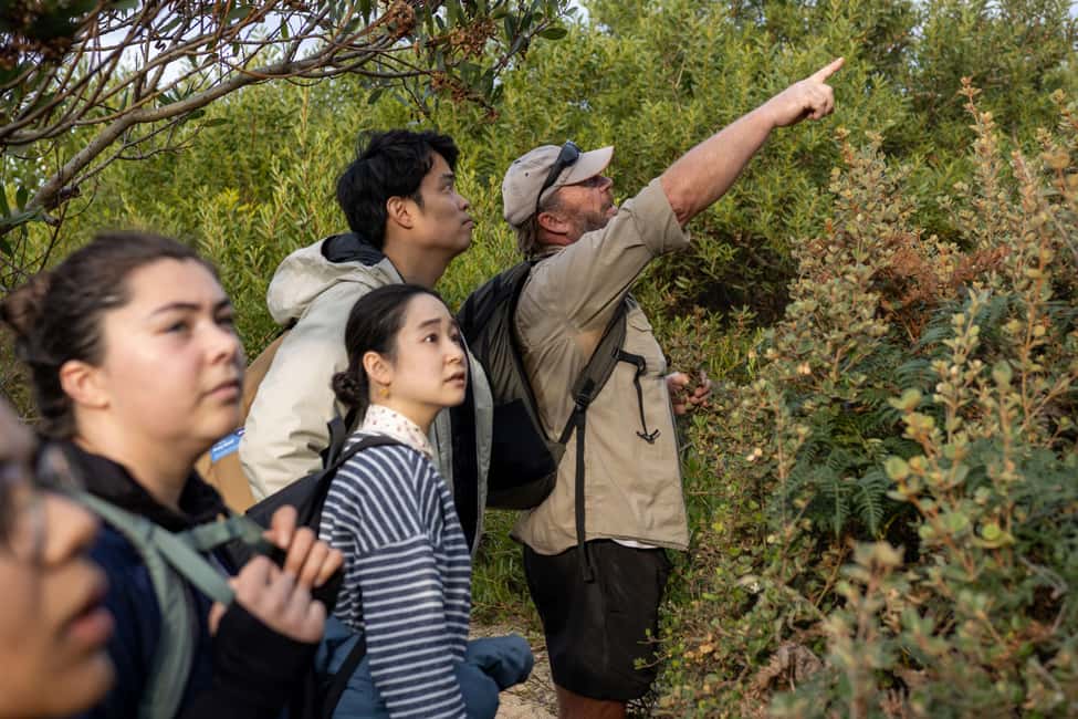 image n.7 of From Hobart: Bruny Island Adventure - Active Day Tour activity in Tasmania, uploaded by supplier
