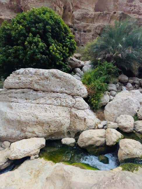 Immagine nº 21 di Muscat: escursione di un'intera giornata a Wadi Shab, grotta romantica e sinkhole attività a Regione al-Sharqiyya, caricata dal fornitore