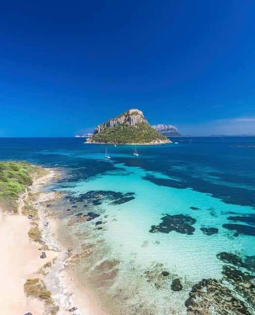 Bild Nr. 9 von Olbia: Bootstour mit Delfinbeobachtung und Schnorcheln Aktivität in Sardinien, hochgeladen vom Anbieter