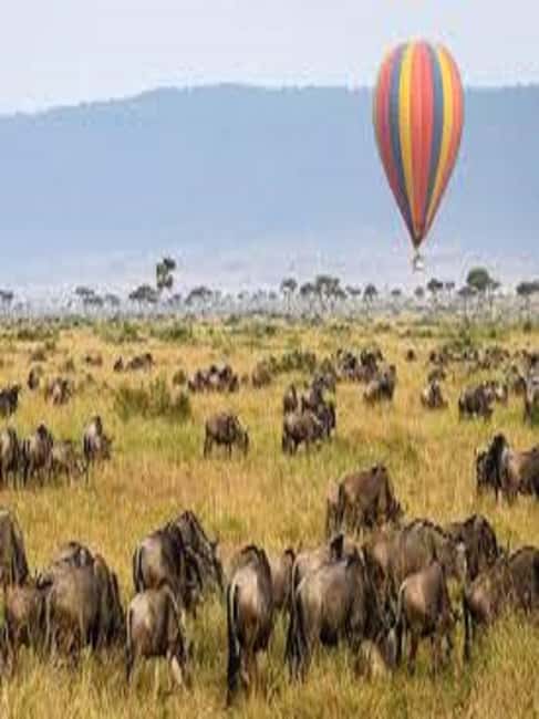 imagen n.º 7 de Arusha: Safari de 5 días en tienda de campaña por el Parque Nacional del Serengeti actividad en Provincial Central de Kenia, subida por el proveedor