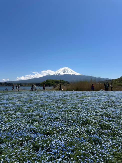 obrázek č.10 aktivity Jednodenní soukromá exkurze na horu Fuji s anglicky mluvícím řidičem v destinaci Hakone, nahraný poskytovatelem aktivity