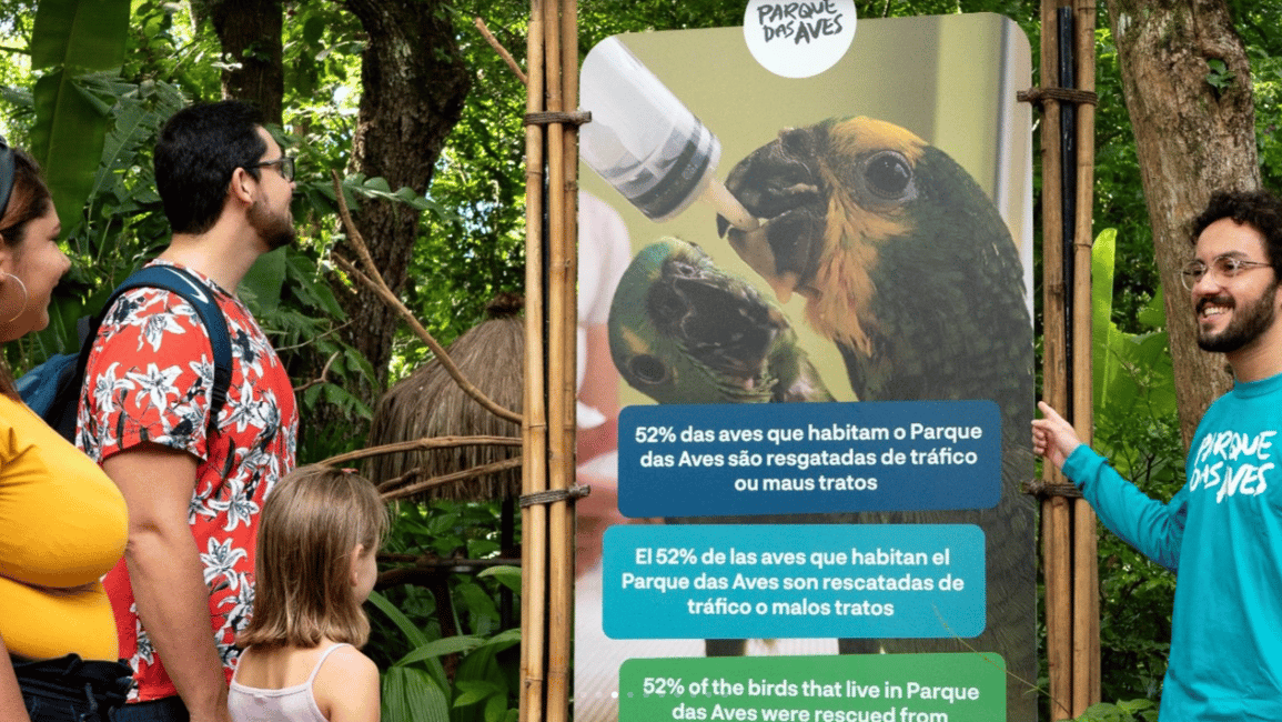 image n.8 of Foz do Iguaçu: Bird Park Tour with Tickets activity in Foz do Iguaçu, uploaded by supplier