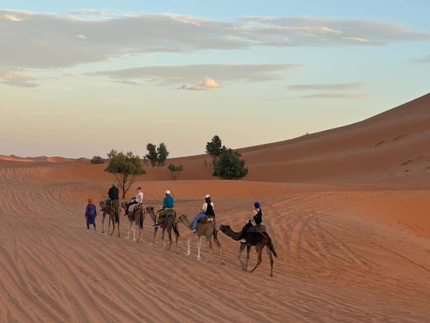 image n.16 of Marrakech Desert Tours 3 Days with Camel Trek and Camping activity in Kalaat M'Gouna, uploaded by supplier