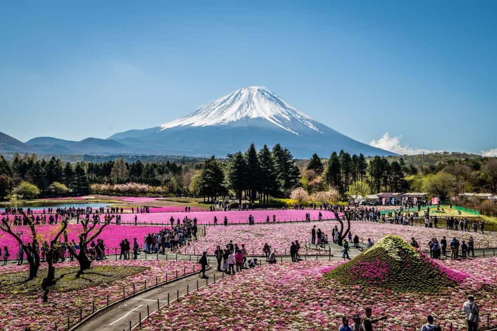 image n.13 of Mt.Fuji Private tour from Tokyo/Yokoham (Customizable) activity in Hakone, uploaded by supplier