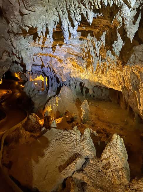 image n.6 of Auckland: Waitomo Glowworm Caves Explorer Small Group Tour activity in Waitomo, uploaded by supplier