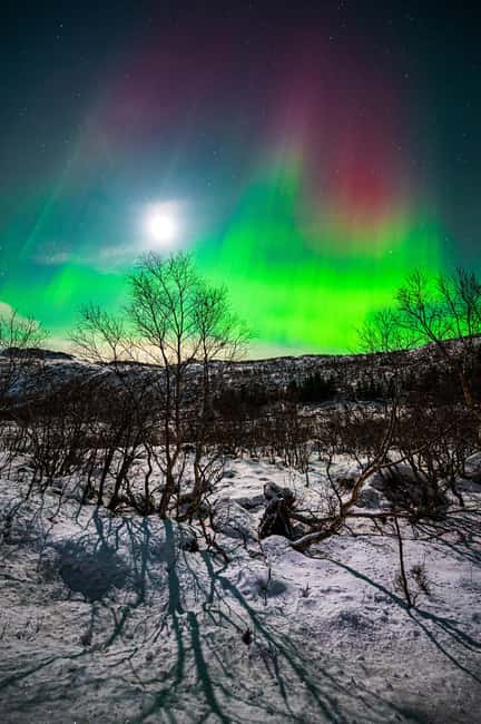 image n.22 of Svolvær: Ultimate Aurora Hunt activity in Svolvær, uploaded by supplier
