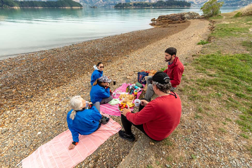 image n.9 of Christchurch: Sea Kayaking Tour of Lyttelton Harbour activity in South Island, uploaded by supplier