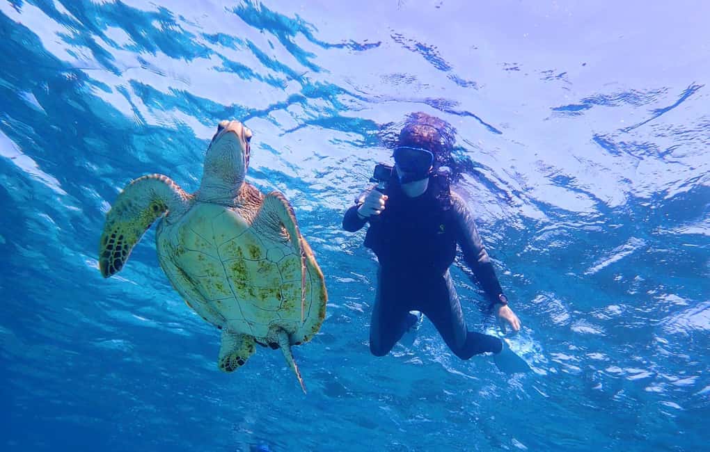 image n.5 of Miyako island: Pumpkin Limestone Caving & Snorkeling activity in Miyakojima, uploaded by supplier