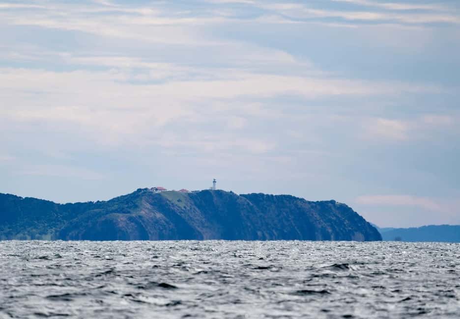 image n.24 of Byron Bay: Whale Watching Cruise with a Marine Biologist activity in New South Wales, uploaded by supplier