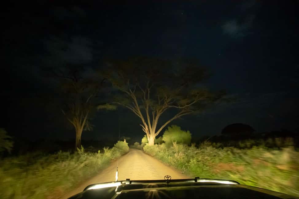 Image N°34 de Parc national du Serengeti : Safari en montgolfière à l'aube activité à Région de Mara, publiée par le prestataire