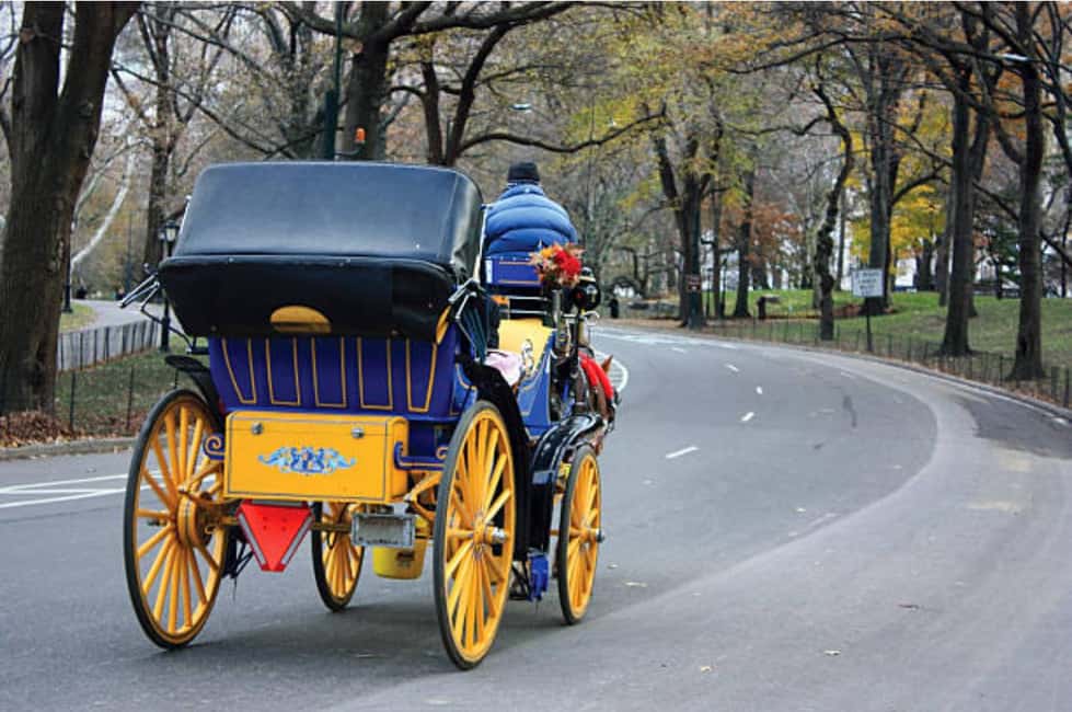 image n.13 of NYC Private Central Park Horse Carriage Ride with Guide activity in New York City, uploaded by supplier