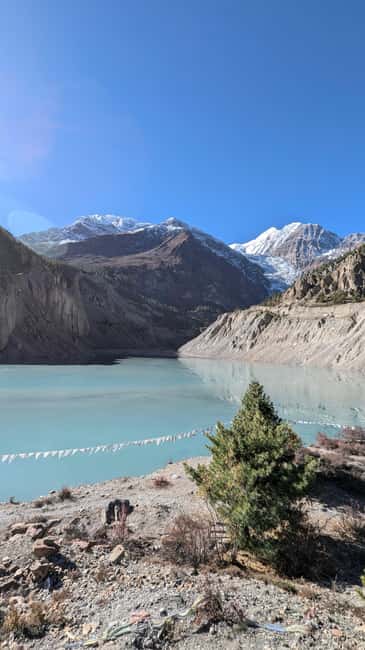 image n.78 of 8-Day Adventurous Annapurna Circuit Trek via Thorongla Pass activity in Pashchimanchal, Western Region, uploaded by supplier