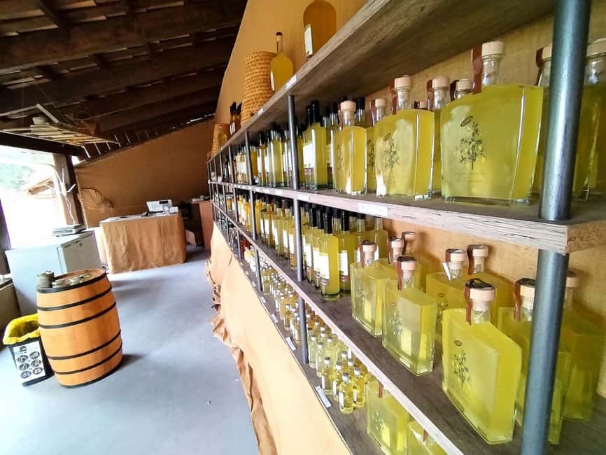 image n.8 of Menton: Citrus Farm, Old-Town & Botanic Full Day Tour activity in Menton, uploaded by supplier