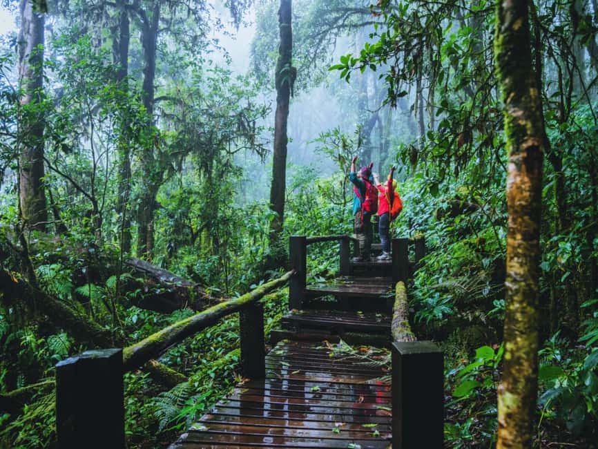 image n.10 of Chiang Mai: Doi Inthanon Park and Pha Dok Siew Trail Trek activity in Chiang Mai, uploaded by supplier
