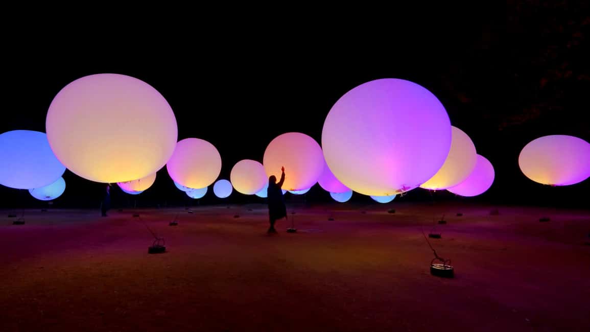 Image N°11 de Osaka : ticket d'entrée au jardin botanique teamLab activité à Osaka, publiée par le prestataire