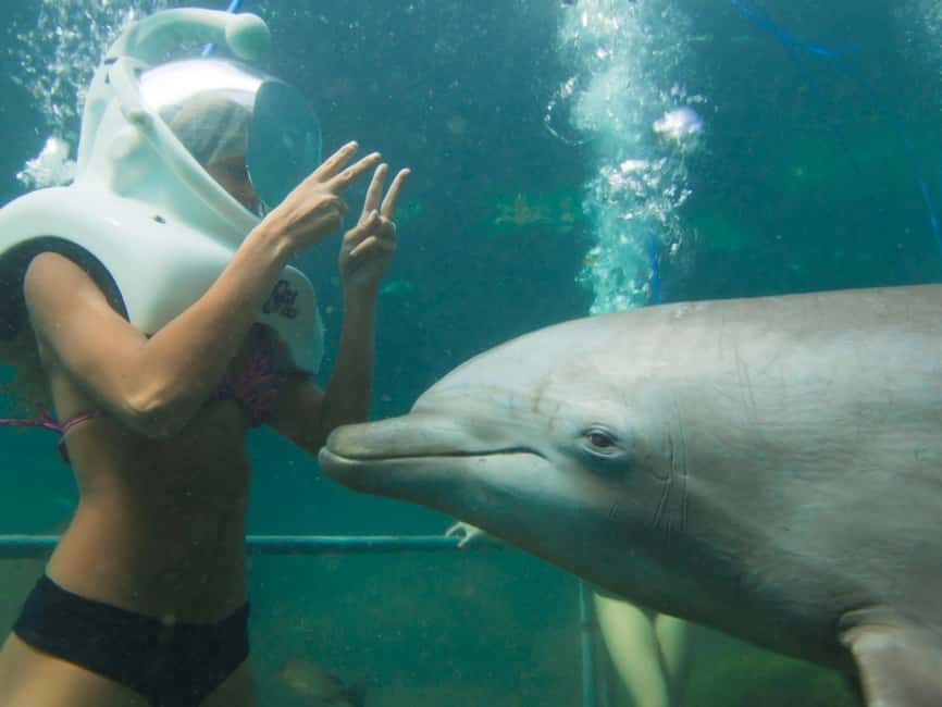 image n.7 of From Playa del Carmen: Xel-Há All-Inclusive Park activity in Quintana Roo, uploaded by supplier