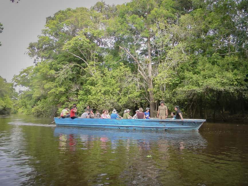 image n.8 of Iquitos | Amazon Tour | 4D/3N in Amazon Rainforest Jungle activity in Huanuco Region, uploaded by supplier