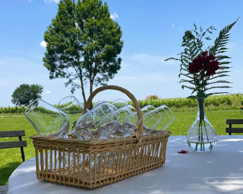 image n.6 of Bordeaux: Médoc & St-Emilion Wine Regions Tour with Tastings activity in Bordeaux, uploaded by supplier
