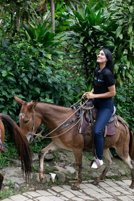 imagem n.69 de Medellín: Tour do café, chegada a cavalo e cana-de-açúcar atividade em Medellín, carregada pelo fornecedor