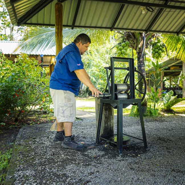 image n.7 of La Fortuna: Sloth Tour in Arenal Volcano Park & Local Snack activity in Alajuela Province, uploaded by supplier