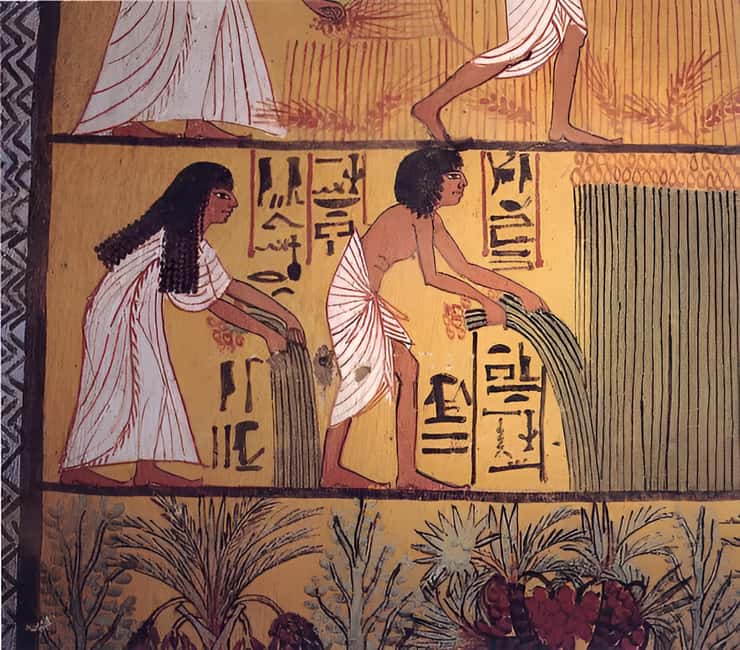 Immagine nº 21 di Luxor: servizio di trasferimento privato personalizzato per l'intera giornata attività a Luxor, caricata dal fornitore
