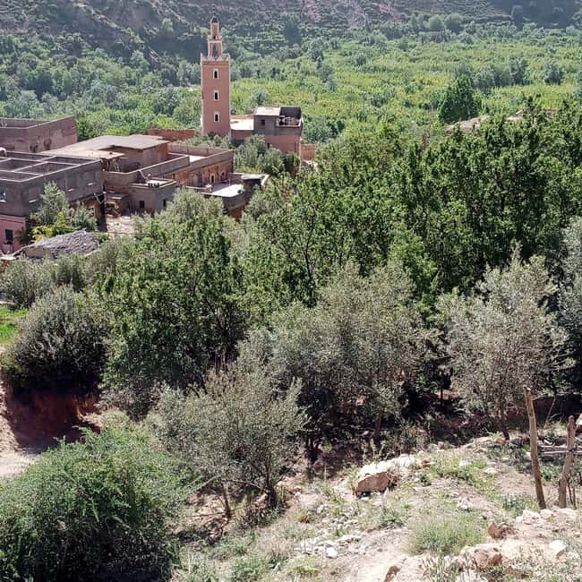 image n.18 of Marrakech: ourika valley & waterfall Day Trip with guide activity in Marrakesh, uploaded by supplier