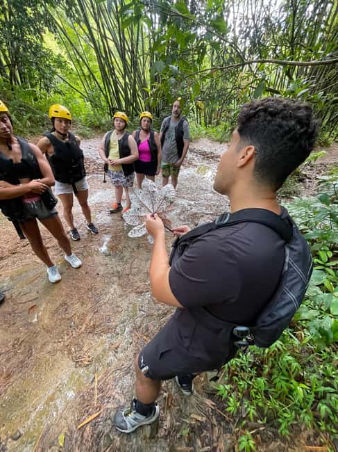 image n.11 of San Juan: El Yunque Half-Day Guided Tour with Transportation activity in Río Grande, Puerto Rico, uploaded by supplier