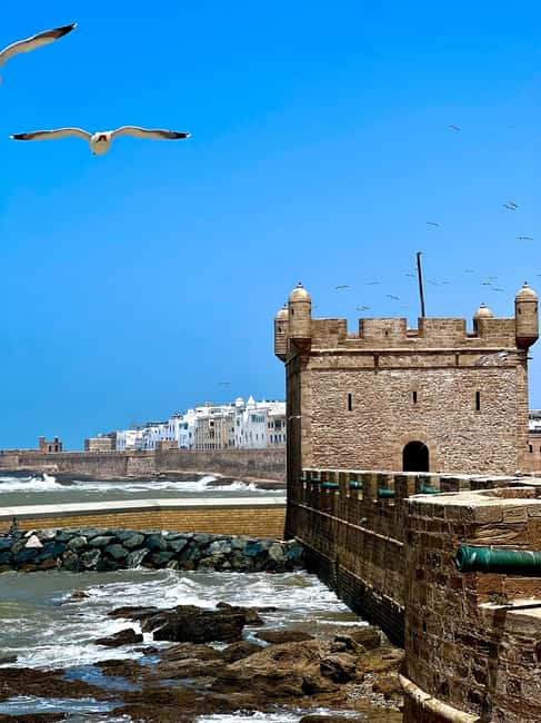 image n.14 of Day trip to Essaouira activity in Essaouira, uploaded by supplier