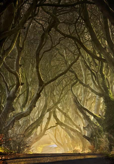 Image N°15 de Belfast : Game of Thrones - Les îles de fer et la Chaussée des Géants activité à Royaume-Uni, publiée par le prestataire