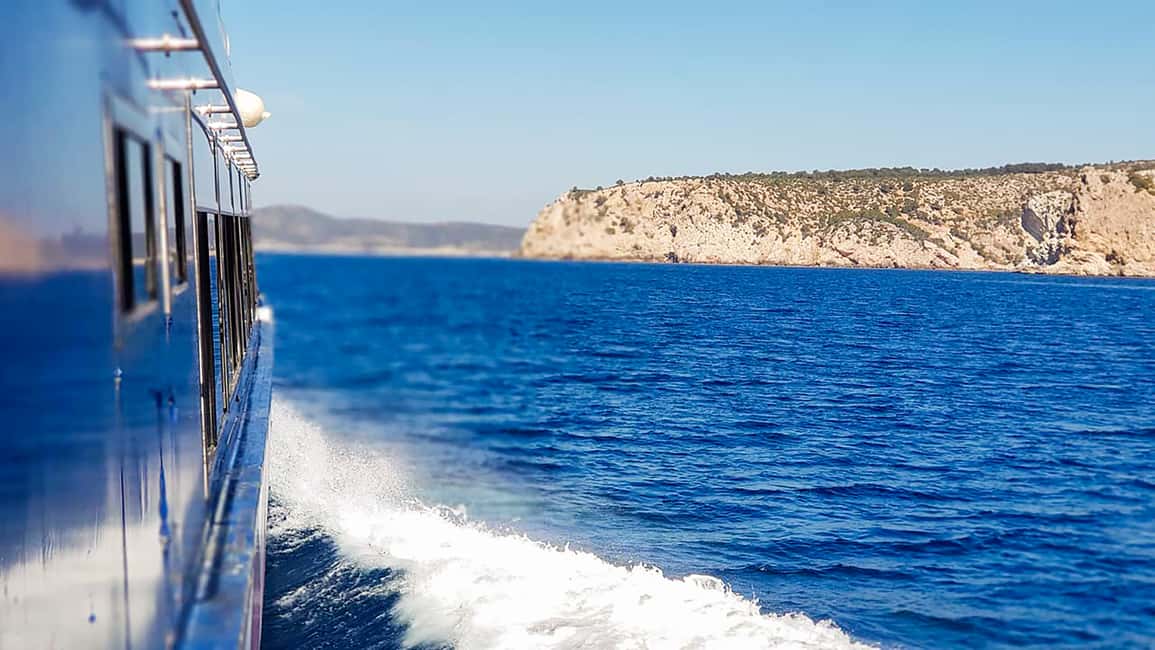 bild nr.20 av Mallorca: Kryssning med delfinskådning aktivitet i Calvià, uppladdad av arrangören