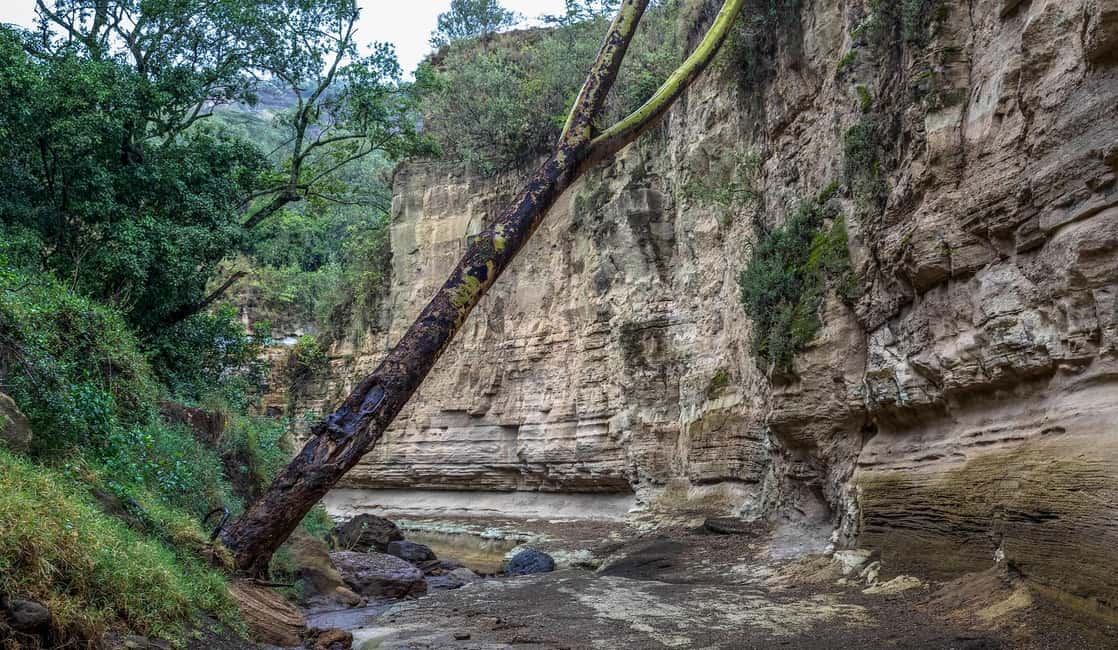 image n.41 of From Nairobi:Full Day Tour to Hell’s Gate National Park activity in Nakuru, uploaded by supplier
