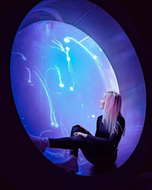 image n.1 of Prague: The World Of Jellyfish Entry Ticket w/ Drink activity in Prague, uploaded by supplier