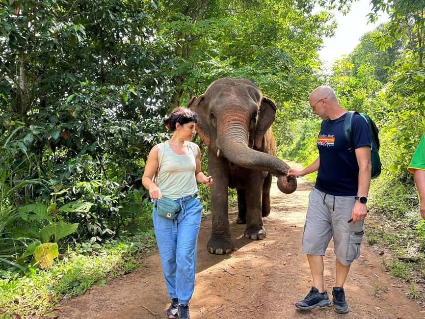 image n.13 of Chiang Mai: Elephant Sanctuary, Waterfall & Bamboo Rafting activity in Chiang Mai, uploaded by supplier