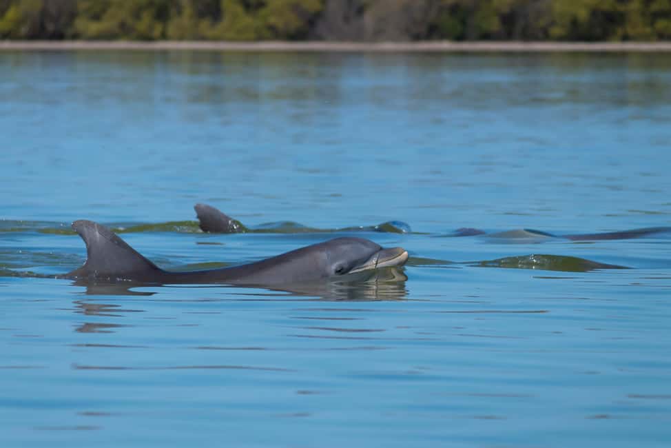 image n.8 of Hilton Head: Daufuskie Island History & Artisans Tour activity in Hilton Head Island, uploaded by supplier
