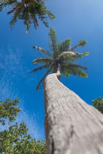 image n.42 of Praslin: Sister & Coco Island Full-Day Cruise and Creole BBQ activity in Mahé, uploaded by supplier