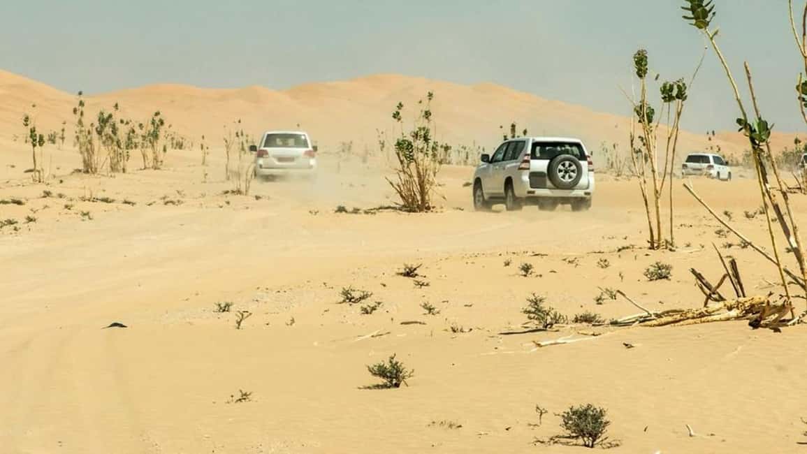 Immagine nº 10 di Tour guidato di gruppo Wahiba Sand e Wadi Bani Khalid attività a Regione al-Sharqiyya, caricata dal fornitore