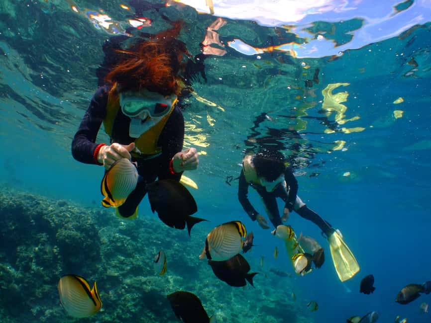 image n.2 of Okinawa : Kerama Whole Day Snorkeling Tour From Chatan activity in Okinawa, uploaded by supplier