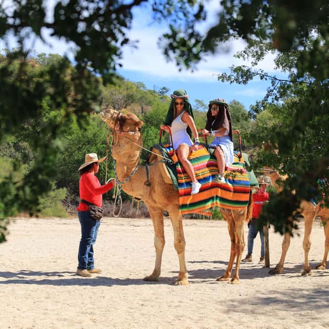 image n.3 of Agadir: Camel Ride With Tea & BBQ Dinner Option activity in Agadir, uploaded by supplier
