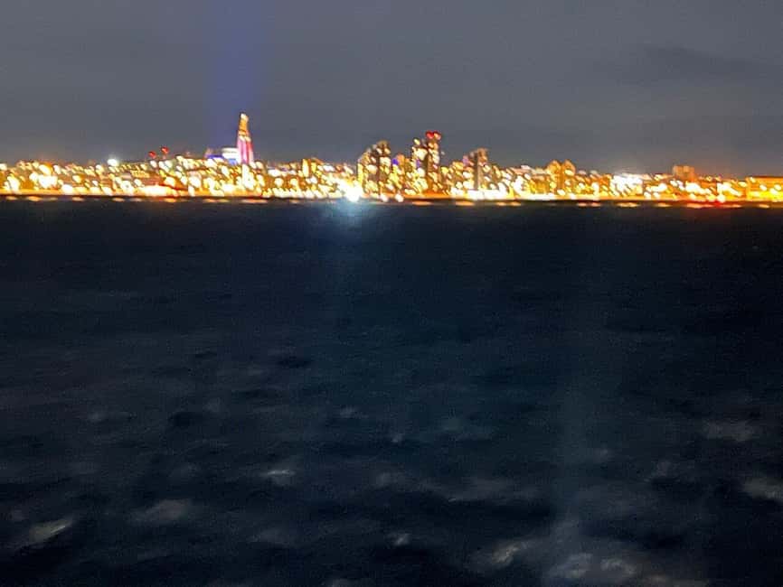 bild nr.11 av Från Reykjavik: Nordljuskryssning aktivitet i Reykjavik, uppladdad av arrangören