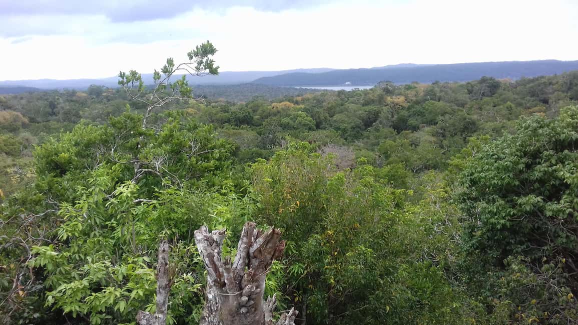 image n.2 of From Flores: Yaxha Ruins Guided Tour activity in Flores, Guatemala, uploaded by supplier