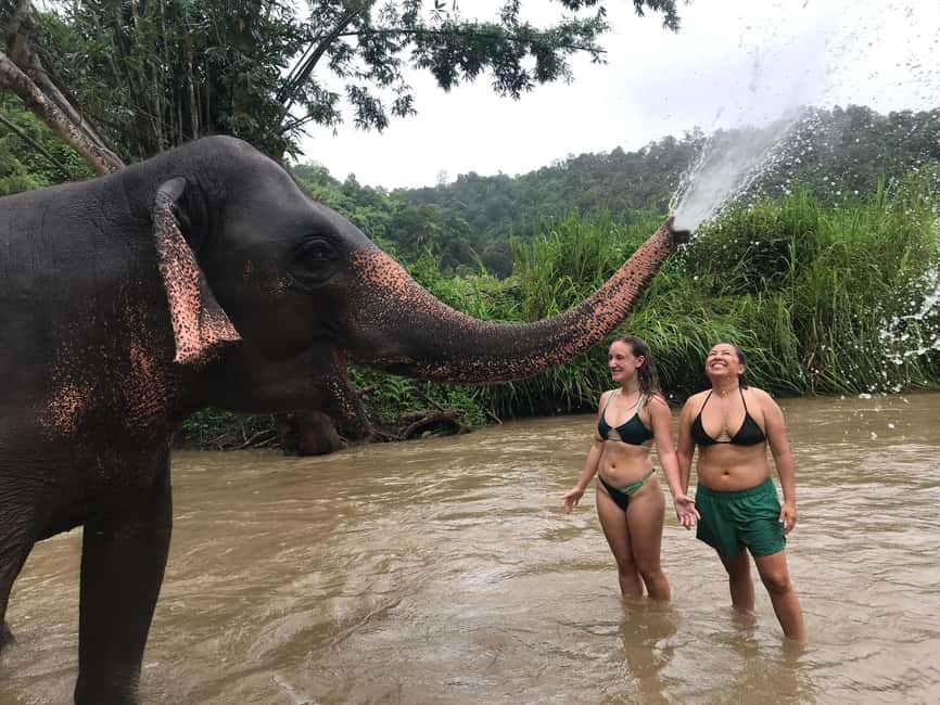 image n.6 of Chiang Mai: Elephant Sanctuary & Waterfall Group Tour activity in Chiang Mai, uploaded by supplier