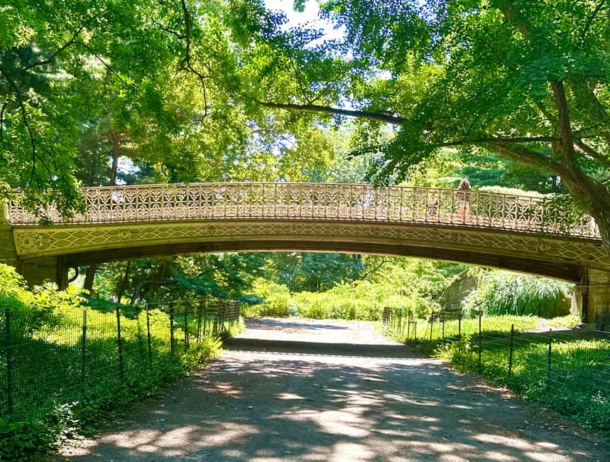 imagem n.13 de NOVA IORQUE: Home Alone 2 e Elf Tour no Central Park atividade em Nova Iorque, carregada pelo fornecedor