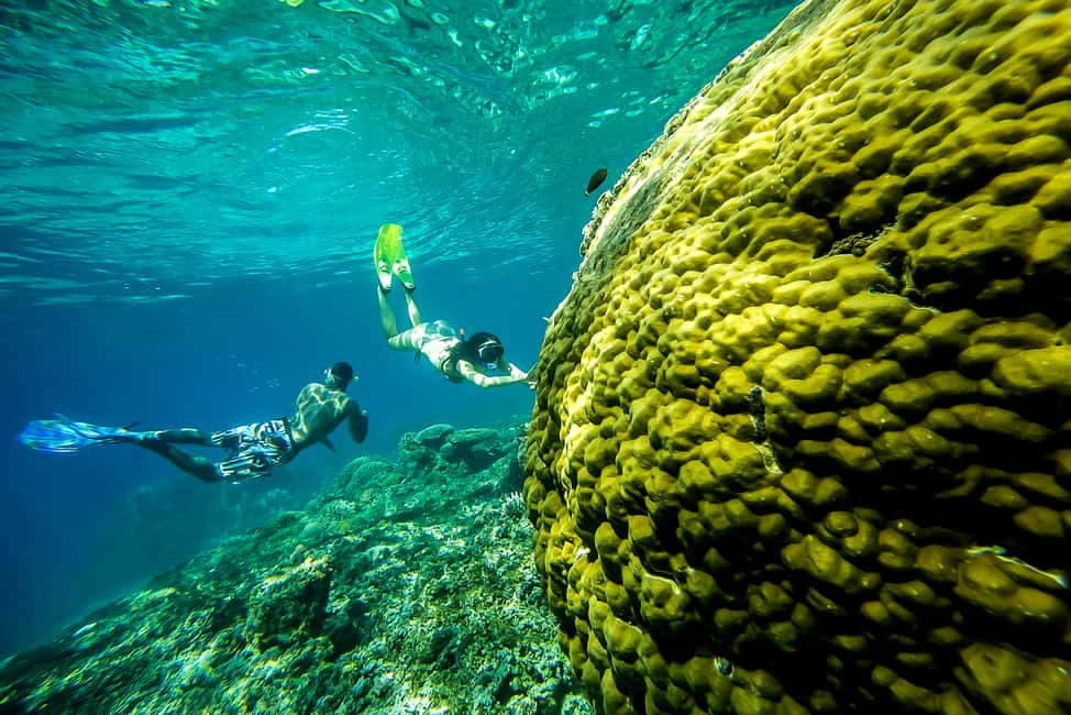 image n.4 of From Bali: Swim with Manta Rays in Nusa Penida activity in Bali, uploaded by supplier