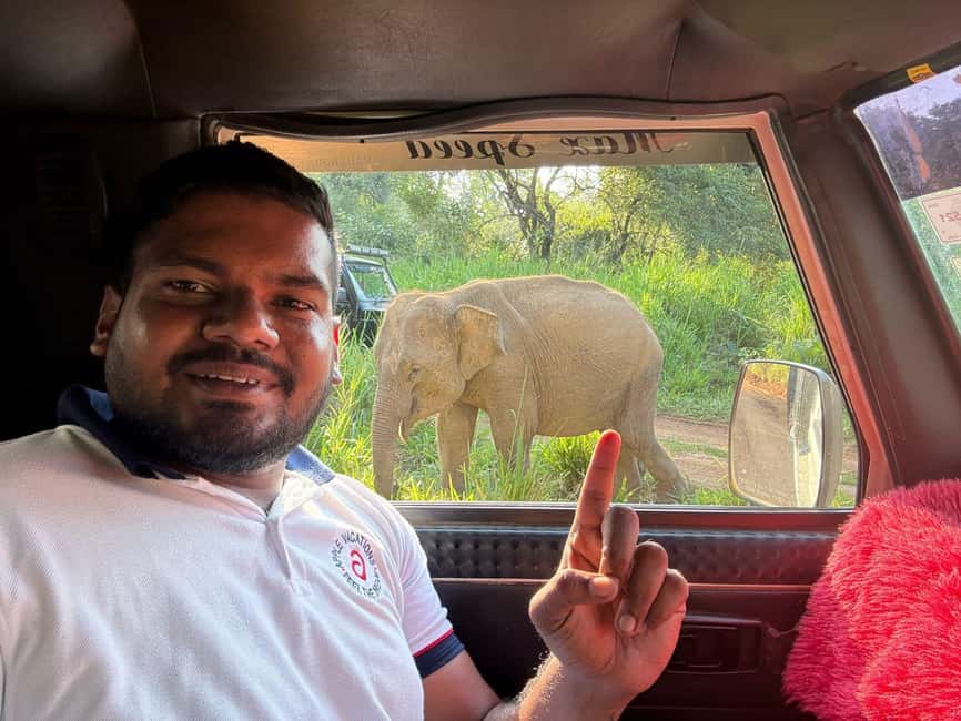 image n.38 of From Colombo: Sigiriya and Dambulla Day Trip and Safari activity in Sigiriya, uploaded by supplier