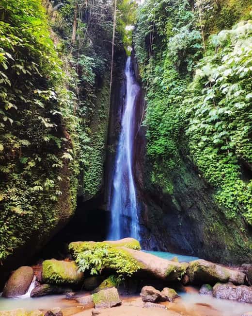 image n.7 of North Bali Trip with 2 Hidden Waterfalls Private Tour activity in Tabanan, uploaded by supplier