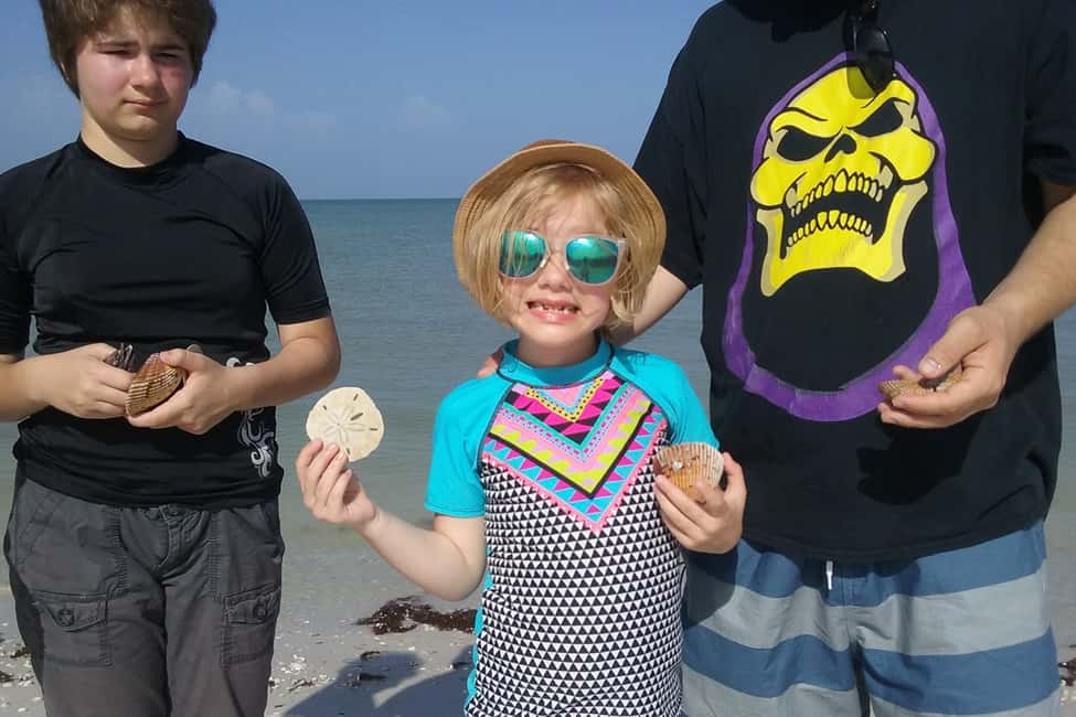 image n.3 of Marco Island: 2-Hour Dolphin, Birding, and Shelling Tour activity in Fort Myers, uploaded by supplier